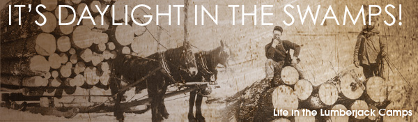 daylightintheswampsbanner